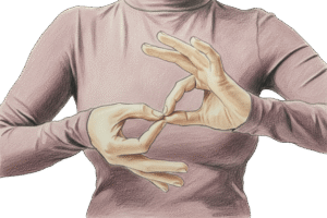 Apprentissage de la Langue des Signes Française